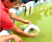 Primeiro Tanque Elevado Ecológico em Abel Figueiredo